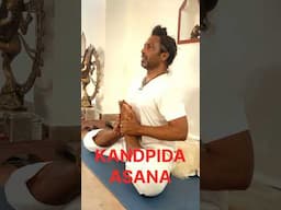 KANDPIDA YOGASANA! #viral #viralvideo #shortsvedio #shortsvideoviral