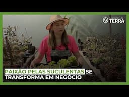 Empreendedora: paixão pelas suculentas se transforma em negócio - Negócios da Terra - (09/11/2024)