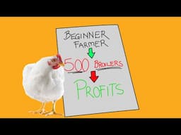 Is broiler farming profitable?