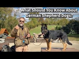 What Should People Know About German Shepherd Dogs?