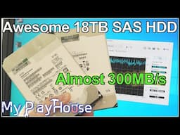 Found 2 Good 18TB SAS HDD - Almost 300Mb/s - Awesome - 1435