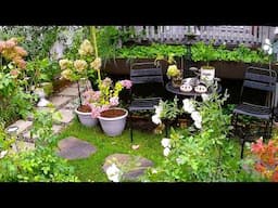 THE BEAUTY OF RAIN IN THE GARDEN | Plants Flowers Garden Tour #nature #rain #garden #flowers #new