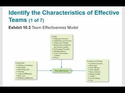 OB Chapter 10 Building Effective Teams