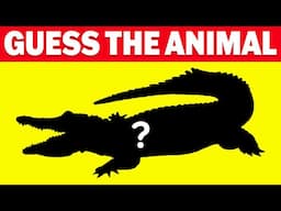 Guess The Animal By Shadow 🐶 ✅ | Guess The Animal Quiz