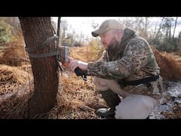 Checking New Swamp Trail Cameras