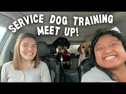 SERVICE DOG TRAINING MEET UP | training with another service dog team!