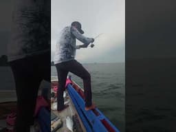 PANEN STRIKE MENJELANG SORE HARI #fishing #mancing #casting