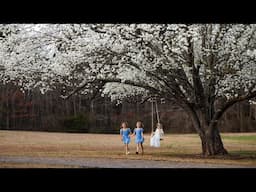 5 Sisters Photoshoot in the Blossoms. Children Portraits with Natural Light Only!