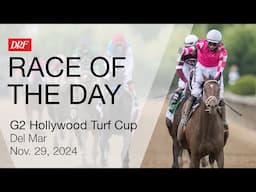 DRF Friday Race of the Day | Grade 2 Hollywood Turf Cup | November 29, 2024