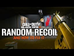 The Muzzle Brake ACTUALLY Works - Black Ops 6 Random Recoil Fix