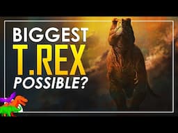 About How Big Could T. rex Get? | TYRANT FILES