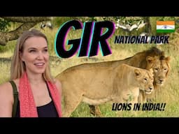 GIR NATIONAL PARK - Seeing lions in India!