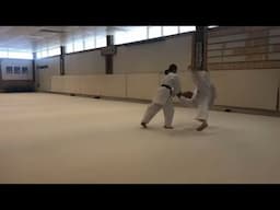 Aikido Shodan Demo: June (Tori) and Brian (Uke)