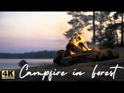 Campfire by the Forest River-4K UHD | Cozy Relaxing Fireplace & Nature Sounds-Robin Bird Song.