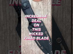 Wicked Affordable Fixed Blade! #edc #shorts #knife #blade #edcknife