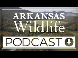 Arkansas Wildlife Podcast Episode 54- All about Bats and other Non Game Mammals