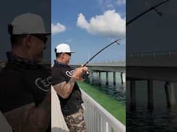 Bridge Fishing in The Florida Keys