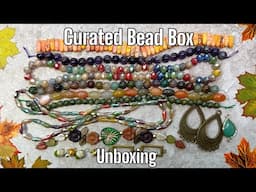 Didi’s Deluxe Bead Box | Unboxing | October Edition 🍂