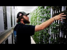 Growing a Hydroponic Farm in a Shipping Container