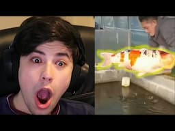 George Reacts to WEIRD TikToks