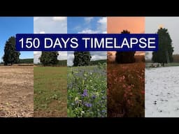 We sowed a WILDFLOWER MEADOW | 150 days Start to Finish TIMELAPSE