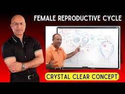 Female Reproductive Cycle | Menstrual Cycle | Hormones