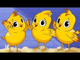 The Little Chicks | Kid Song | Clap clap kids