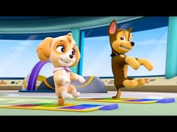 PAW Patrol - Pup Pup Boogie | Season 1 Compilation | WildBrain Zoo | Cartoons of Kids