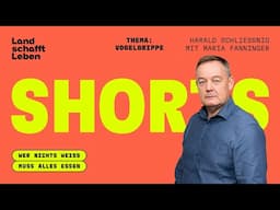 #SHORTS | Vogelgrippe | Harald Schliessnig mit Maria Fanninger