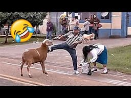 Best Funny Videos🤣 Try Not To Laugh🤣 Funny & Hilarious People's Life 😂 #56