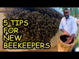 Hot Tips You Will Need To Know As A New Beekeeper Working With Honey Bees In Uganda