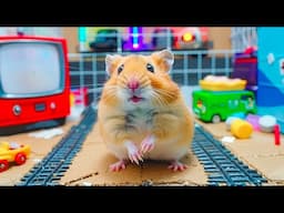 🛑 Hamster Breaks Free from the Dangerous Lava Maze in Real Life 🐹☄️ Hamster Life