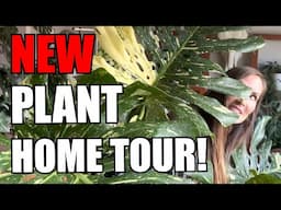 NEW Houseplant Home Tour | GIANT 12 ft. Tall Plants | Tons of Lush Plants!| Healthy Plants Tour