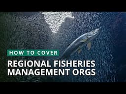 How to Cover RFMOs | Mongabay Webinars