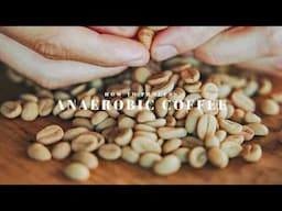 How to Process Anaerobic Coffee At Home