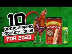 Top 10 BEST Dropshipping products ideas for 2023!