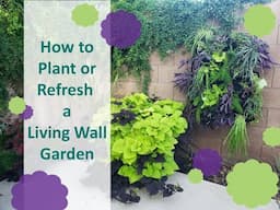 How to Plant a Low Maintenance Living Wall