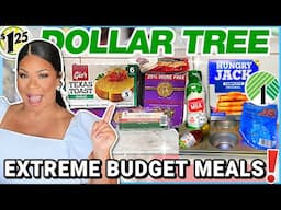 DOLLAR TREE RECIPES: CHEAP AND EASY MEALS TO MAKE WHEN YOU'RE BROKE