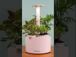 Plantone | Future Tech Gadgets #shorts #reels #viralvideos