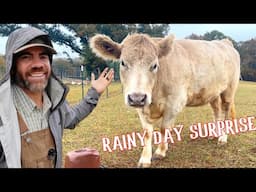 Help Farmer Jason In The Rain With the Farm Chores!