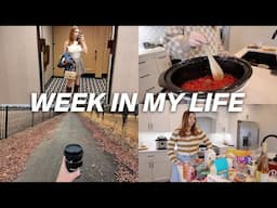 VLOG | Grocery Haul, Decluttering, Work Days + Easy Fall Recipes