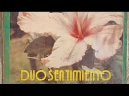 DUO SENTIMIENTO - ACASO PORQUE TE QUIERO (ÁLBUM 1991)