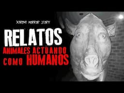 EXPERIENCIAS ATERRADORAS DE ANIMALES ACTUANDO COMO HUMANOS | Relatos de Terror