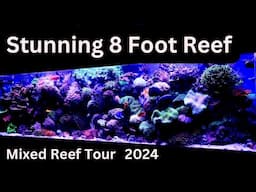 Stunning 8 Foot Mixed Reef Aquarium in Connecticut (240 Gallon Reef Aquarium Tour 2024)