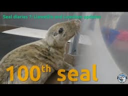 100th seal