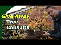 Tree Consult Video Announcement and 40K GiveAway