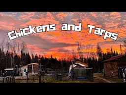 Chickens and Tarps | Winterizing our Coop | Maine Offgrid Cabin Life