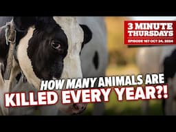 HOW MANY Animals Are Killed Every Year... and does Vegan Outreach Help??