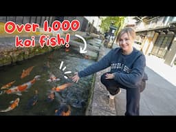 This Japanese Town has KOI FISH in the Streets 😍 ft. @AbroadinJapan