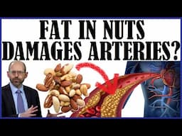 Does The Fat In Nuts Damage Our Arteries?